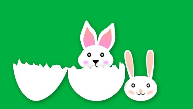 Cute and white bunny looking from egg animation on green screen. Braking egg by white bunny animation on green screen for easter holiday.