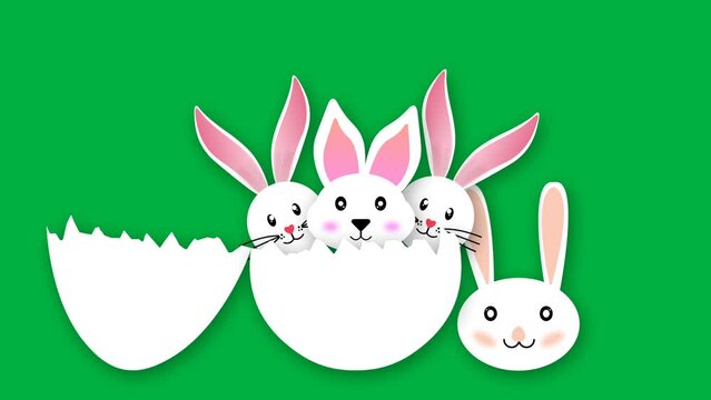 Cute rabbits looking from broken egg animation on green screen. Easter egg hunting animated clip.