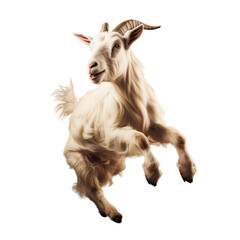 young goat with a background