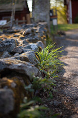 Swedish Småland stone wall