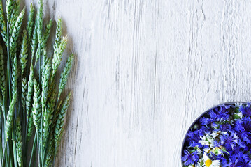 Vintage floral background with wildflowers. Blue flowers of cornflowers and daisies in a round plate and a bouquet of ears of wheat on an old white wooden board, top view, copy space.