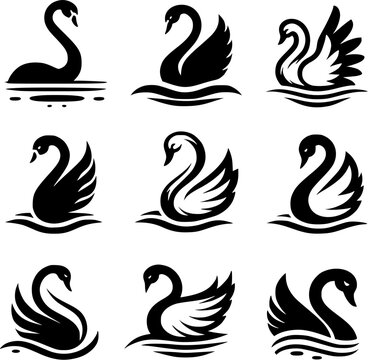 set of black swans, swan icon, beautiful swan vector art.