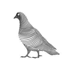 Simple line art illustration of a dove 3