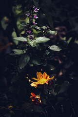Cores
