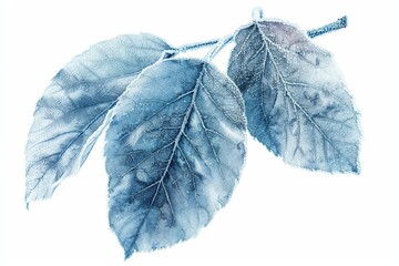Frosty Leaves water color style,isolate on white,Clip art