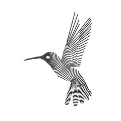 Simple line art illustration of a hummingbird 2