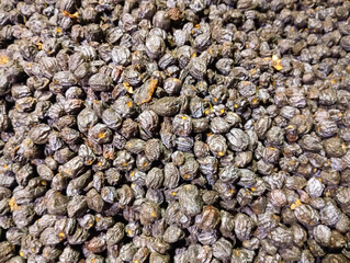 close up of a pile of pebbles