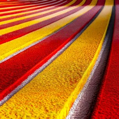 Red and Yellow Athletics Track