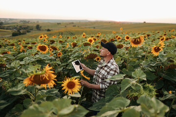 Smart farmer. Young agronomy is using smart digital tablet at sunflower field. Technology wireless...