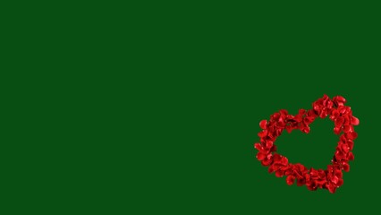 red heart shaped rose flower petals