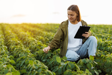 Modern agribusiness. Female farmer with digital tablet examines and checkins green leaves of soybeans plants at field. Agronomist controls growth and development of sprouts. Smart farming technology.