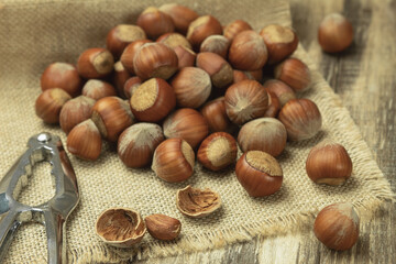 Hazelnuts in the shell close-up. Hazelnut on a wooden table. Natural food products. Close up, copy space