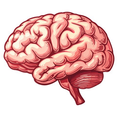 Human brain icon, Mind symbol vector illustration.