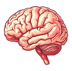 Human brain icon, Mind symbol vector illustration.