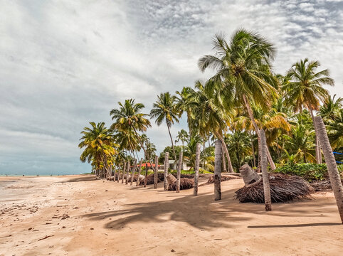 Praia da Bruna Maragogi Brazil