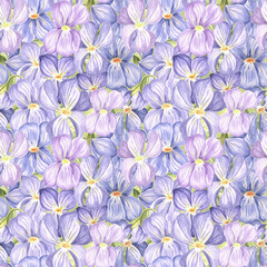 Seamless pattern from wild violets with green leaves. Hand drawn watercolor illustration background with spring pansy flower blossom. Template for fabriks and wallpaper, scrapbooking, covers, textile.