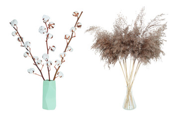 Set of Dry decorative Cotton Flower and Pampas Grass in a glass vase, isolated on transparent...