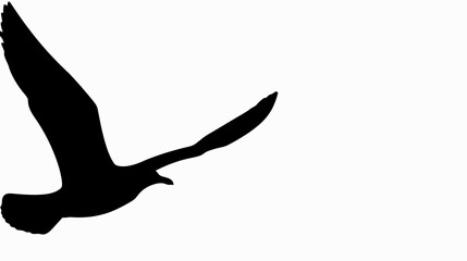 black silhouette of a Silhouette flying bird background with a thick outline side view isolated 