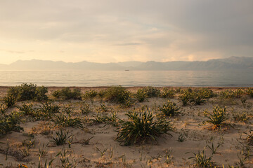 Sunset on the coast of Corfu with cacti