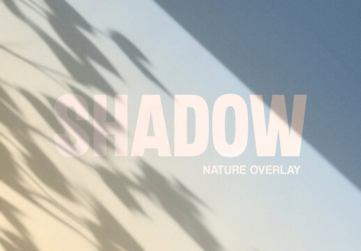 Highlight Shadow Overlay Texture