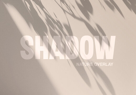 Sun Ray Shadow Overlay Texture