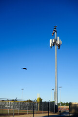 Black bird flying away from antennas nested at communication tower behind wire-mesh fence, copy space