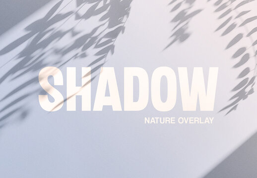 Sun Leak Shadow Overlay Texture