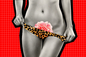 3D collage trend artwork composite sketch image of cut hot ladys naked body hips hands take down...