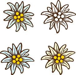 Edelweiss flower alps logo symbol