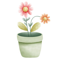 pink flower in a pot