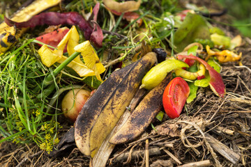 Compost pile in garden closeup. Bio waste, vegetables fruits scraps background, texture. Zero waste...