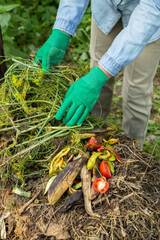 Compost heap pile with bio waste. Farmer gardener hands put weeds grass plants, vegetable fruit...