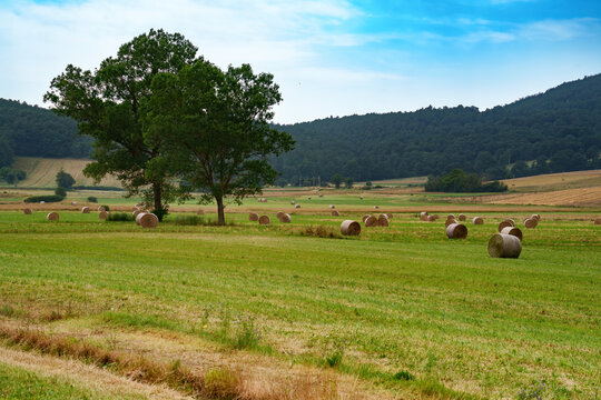 Rural landscape near Colfiorito, Umbria, Italy, at summer