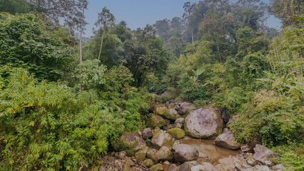 Namdapha National Park, Arunachal Pradesh, India,