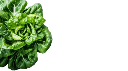 Poster Fresh green lettuce isolated on white background. Top view © shabbir