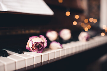 Dry rose flowers on piano keys over glowing lights close up.