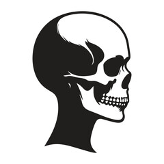 Skull Vector Icon. Black and white human skull
