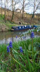 Bath canal with flowers, UK