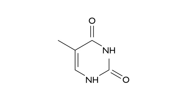 thymine molecule, structural chemical formula, ball-and-stick model, isolated image nucleobases