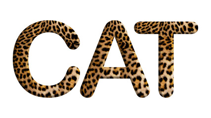 Word of CAT made from leopard fur or skin isolated on transparent background, suitable for template animal concept, PNG  © rozi
