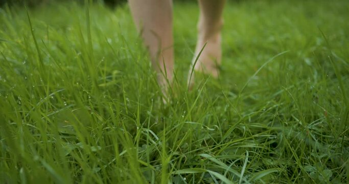 Teenager Girl Walking Bare Feet on Grass in Forest in Summer. Women's Feet Walking on Fresh Wet Grass on Garden in Summer Slow Motion. Barefoot and Healthy Care Feet. Healing Foot Massage Relax.