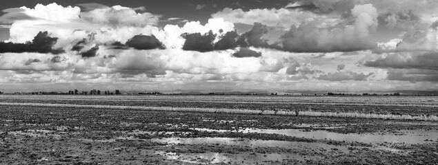 Dramatic black and white image of the Central Valley California ice fields with awesome stormy clouds.