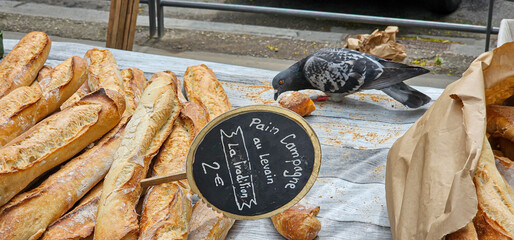 Shot of traditional, fresh, French baguettes for sale at an outside market with a pigeon pecking up...