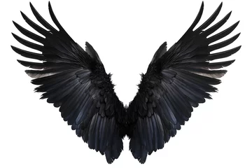 Foto op Plexiglas Majestic Black Wings Spread Wide in Powerful Display © slonme