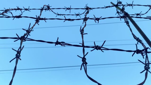barbed wire against the sky on a high fence.