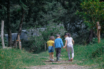 Pequeños niños de espalda se aventuran al bosque tomados de la mano