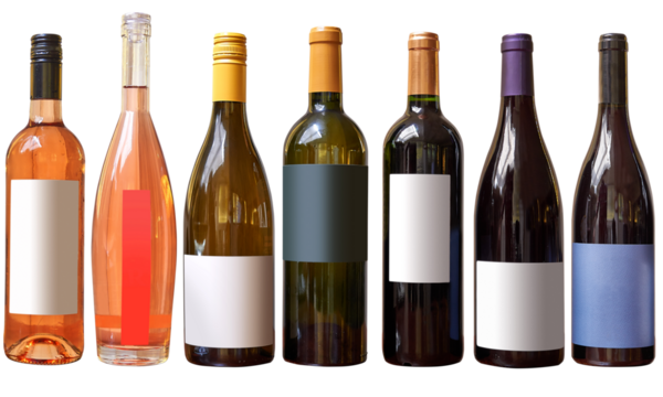 Family of different kind of Wine bottles isolated on White