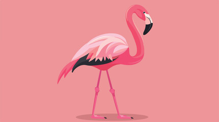 Pink flamingo bird flat Flat vector