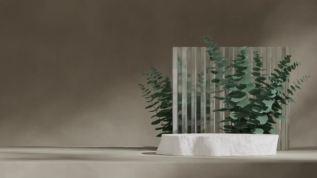 glass wall and eucalyptus leaf in 3d render footage of blank mockup rough shape white podium seamless loop shadow animation
