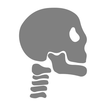 Orthopedic icon set
